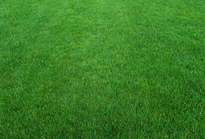 mowing and maintenance of long island lawns