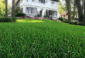 long island lawn care and lawn maintainance